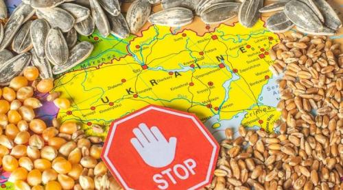 UE permite unor țări din Est să interzică importurile de cereale din Ucraina