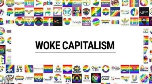 „Capitalism împotriva capitalismului”