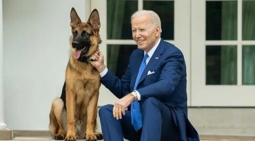 Câinele familiei Biden a mușcat mai mulți agenți ai Serviciului Secret