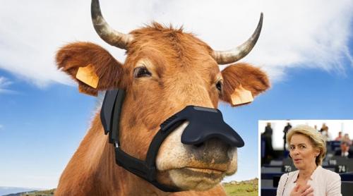 UE intenționează să oblige vacile să poarte măști pentru a lupta împotriva schimbărilor climatice