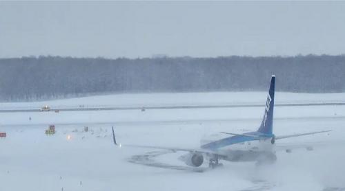 Avioanele private care trebuiau sa transporte liderii lumii către conferința despre "încălzirea globală" au înghețat pe pistă în Munchen