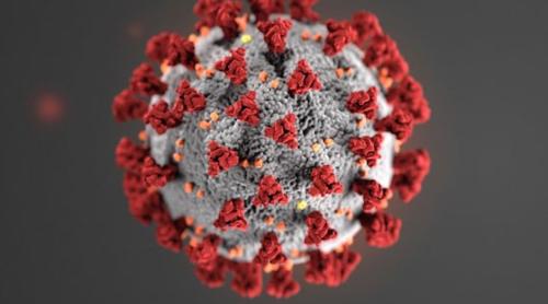 Oamenii de știință chinezi „au creat” o tulpină de coronavirus mutantă care atacă creierul