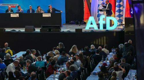 Afd vrea sa expulzeze "imediat toți refugiații ucraineni”