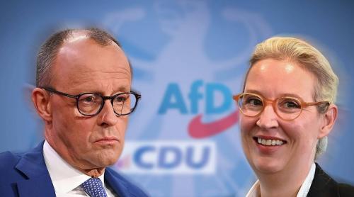 Oficiali germani cer interzicerea partidului AfD dupa ce serviciile de informații l-au "confirmat ca fiind de extremă dreaptă"
