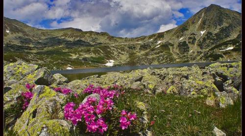 Fabuloasa Romanie. Traseu de Mai. De la Valea Pietrele spre Lacul Bucura