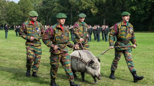 Belgia se va alătura Coaliției celor dispuși să trimită trupe în Ucraina 
